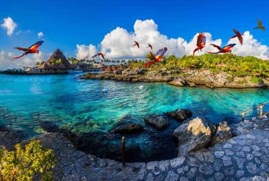 Tours in Cancún and Riviera Maya Admission To Xcaret Plus