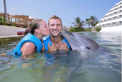 Tours in Cancún and Riviera Maya Dolphin Splash In Punta Cancun 