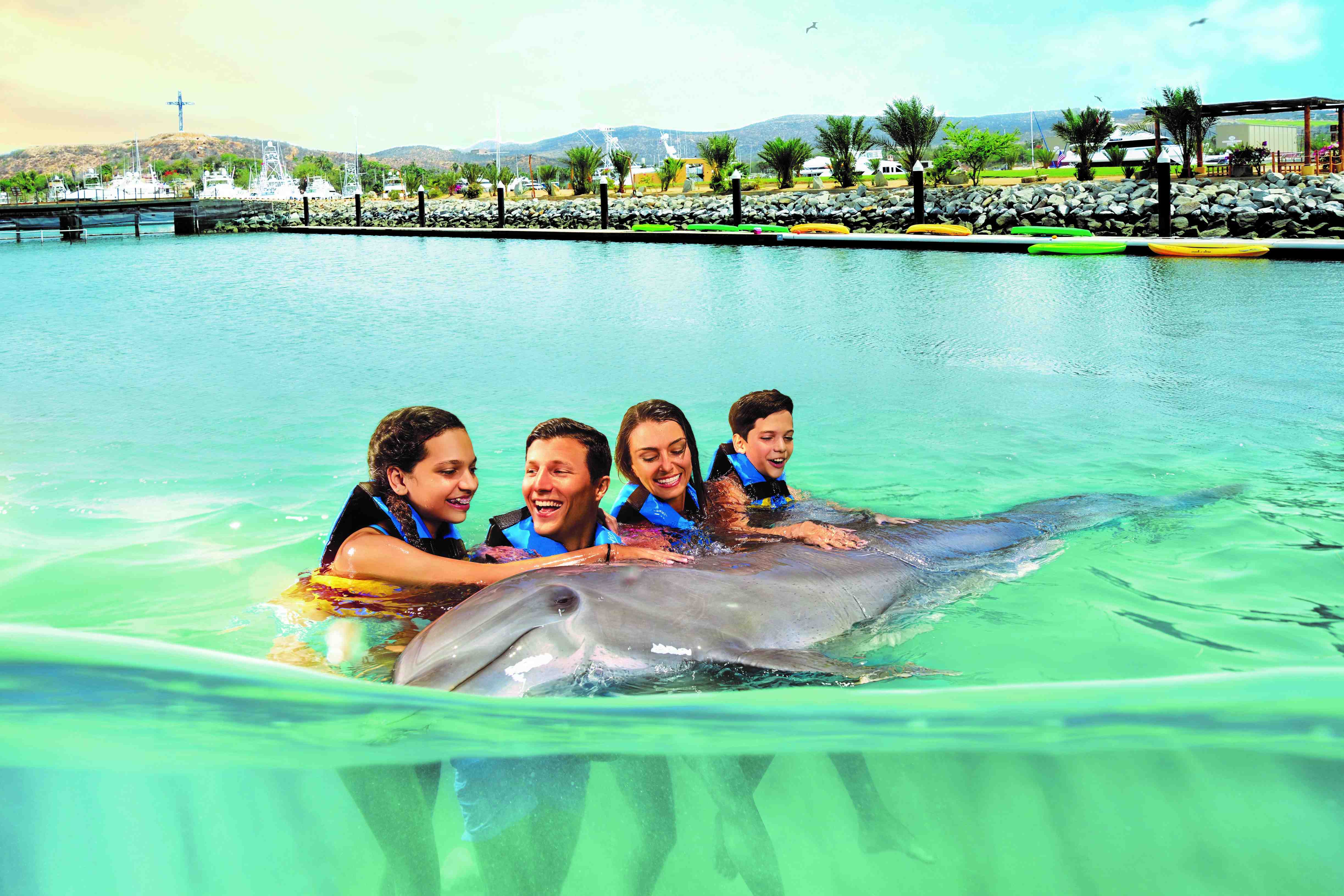 Dolphin Encounter - Last Minute Tours in Los Cabos