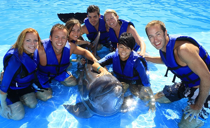 Dolphin Signature Swim - Last Minute Tours in Los Cabos