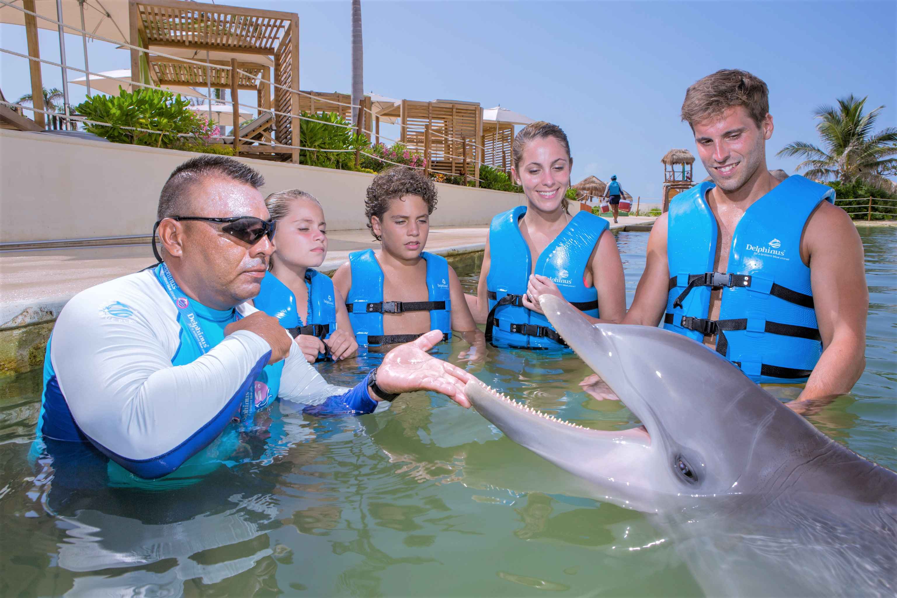 México Travel Solutions Dolphin Ride In Punta Cancun