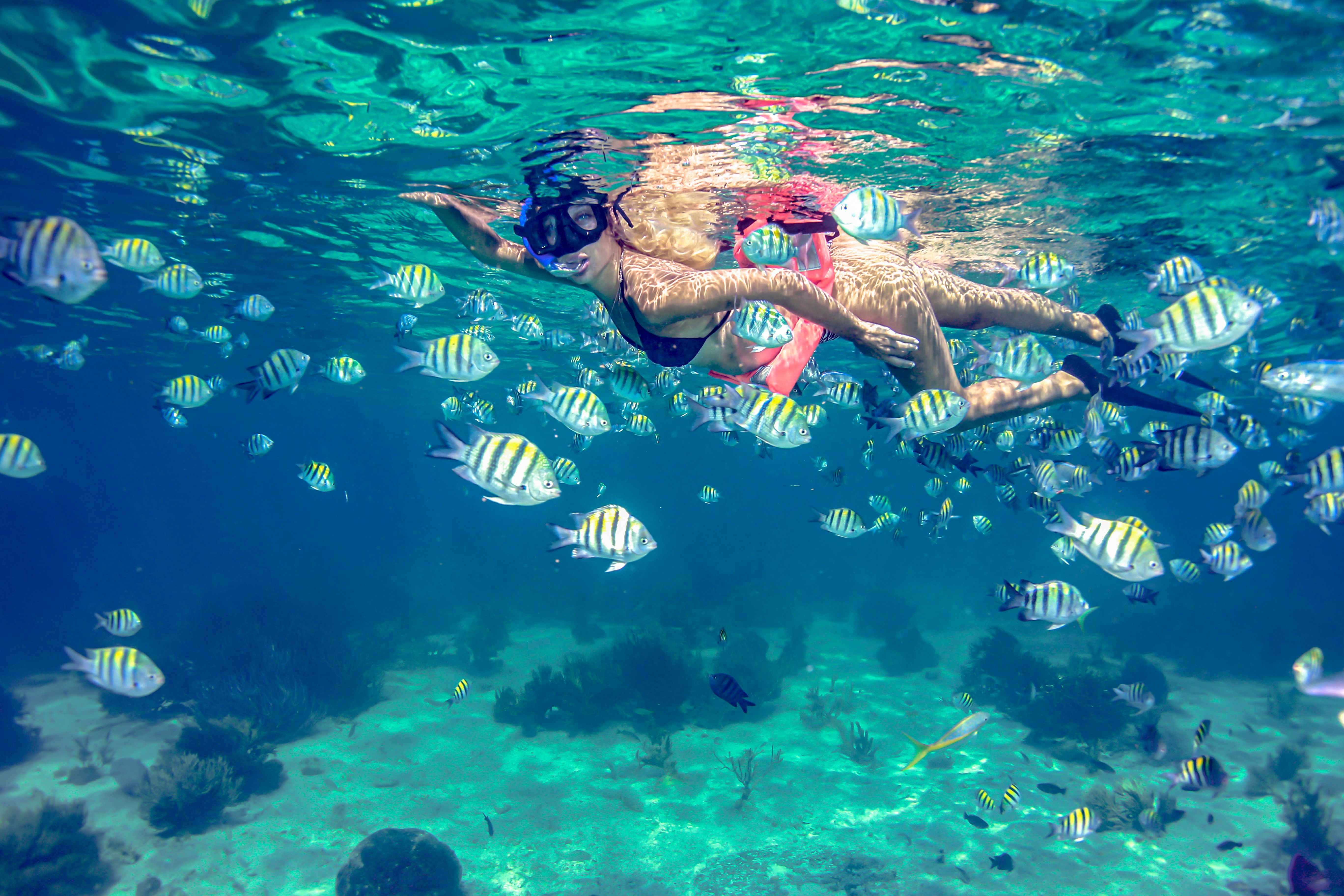 México Travel Solutions Isla Mujeres Catamaran Full Experience 
