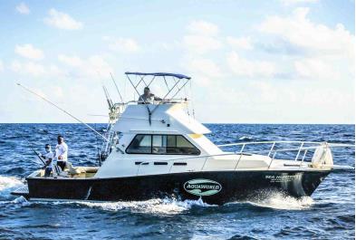 Tours in Cancún and Riviera Maya Shared Fishing Charter