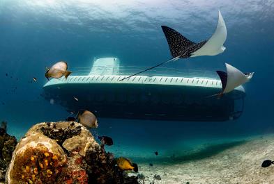 Tours in Cancún and Riviera Maya Atlantis Submarine Expedition
