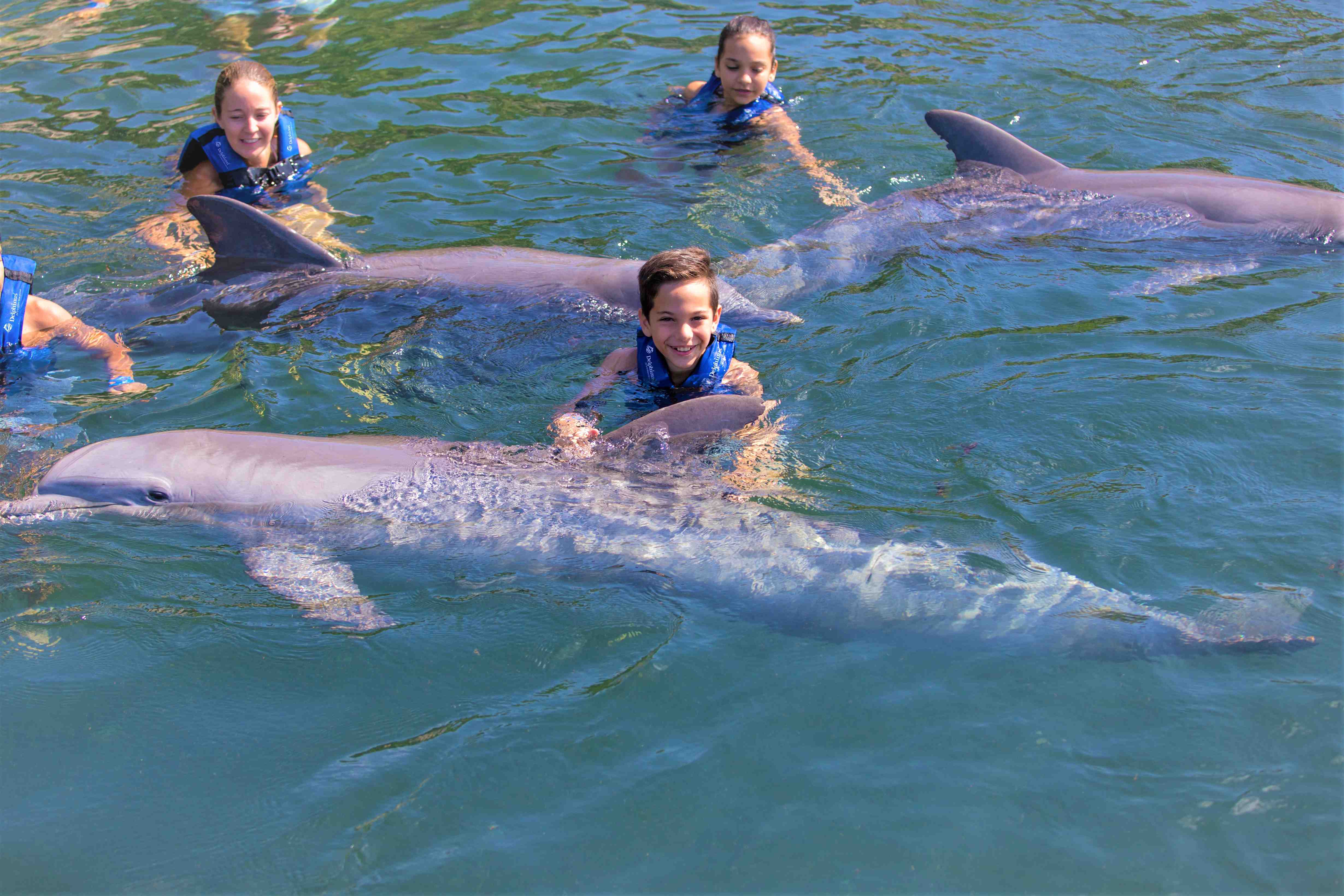 México Travel Solutions Dolphin Ride In Riviera Maya 