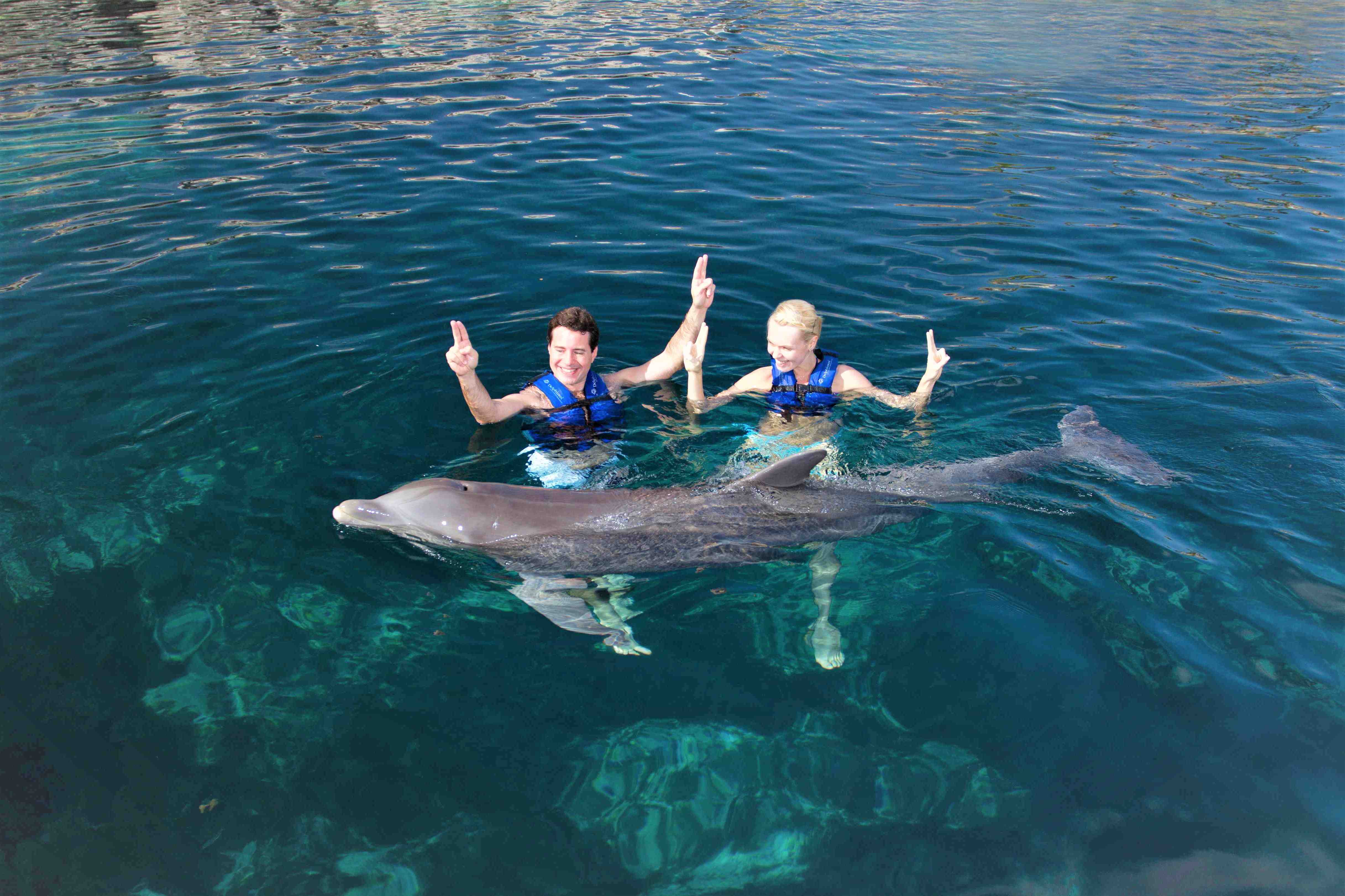 México Travel Solutions Dolphin Splash In Riviera Maya