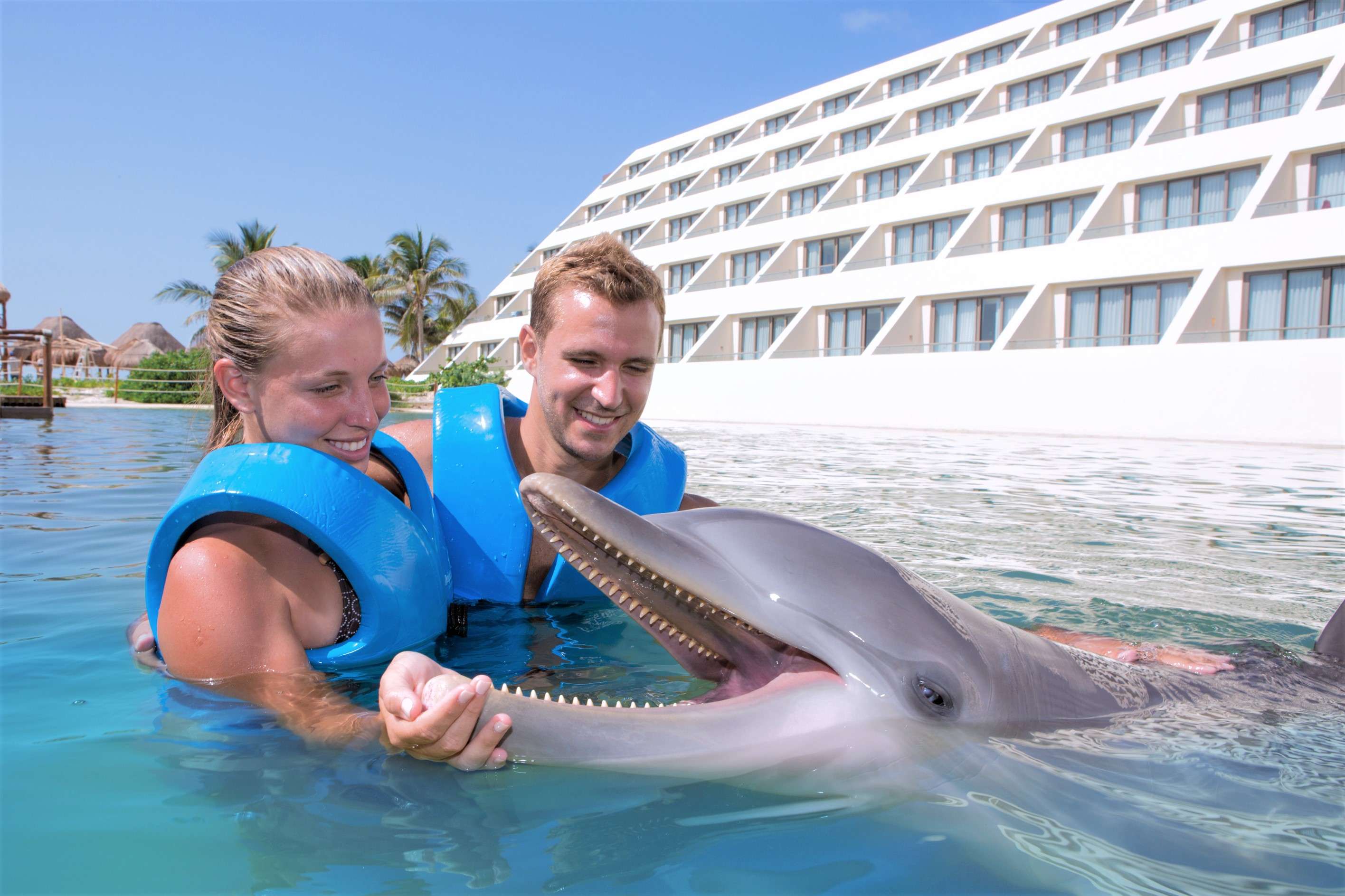 México Travel Solutions Dolphin Splash Punta Cancun 