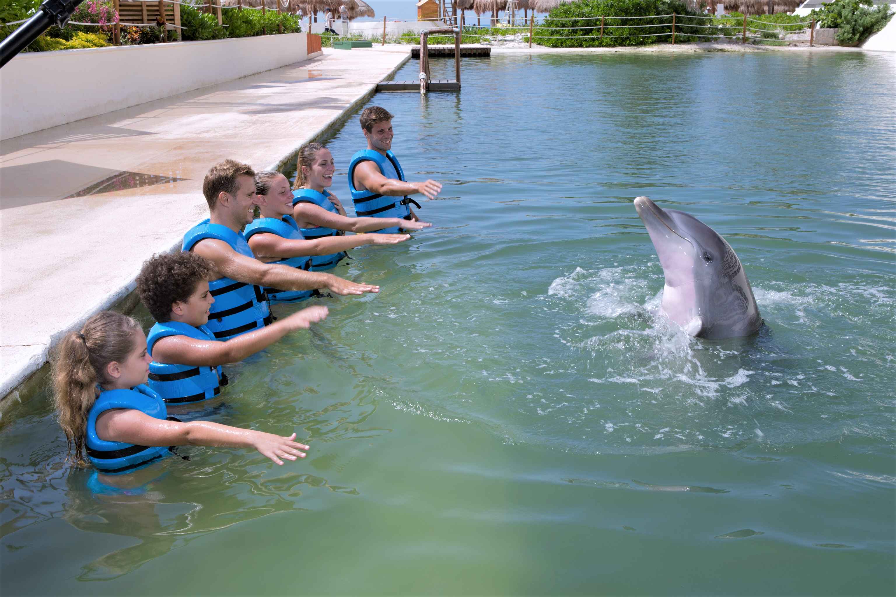 México Travel Solutions Dolphin Splash Punta Cancun 