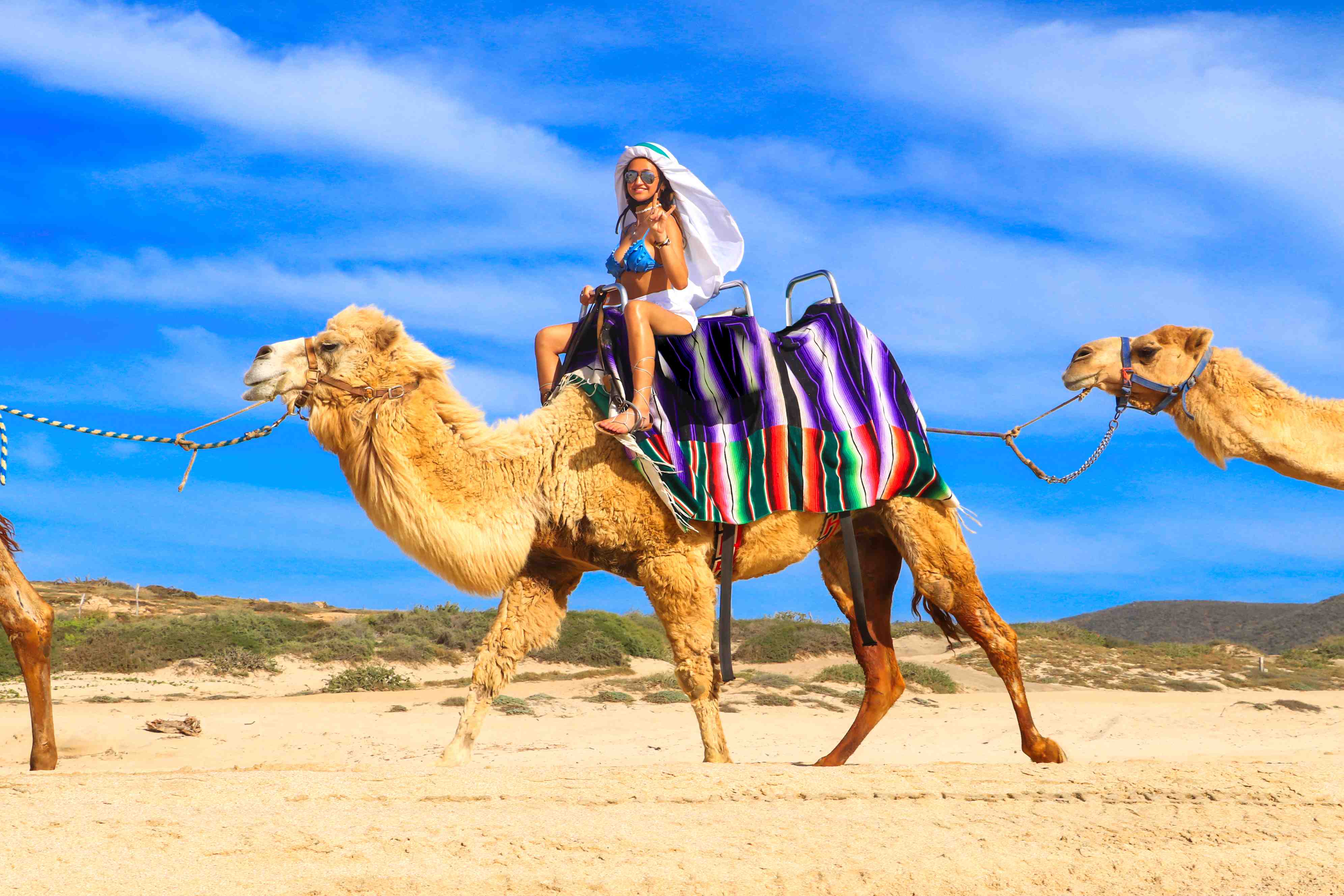 camel travel lublin