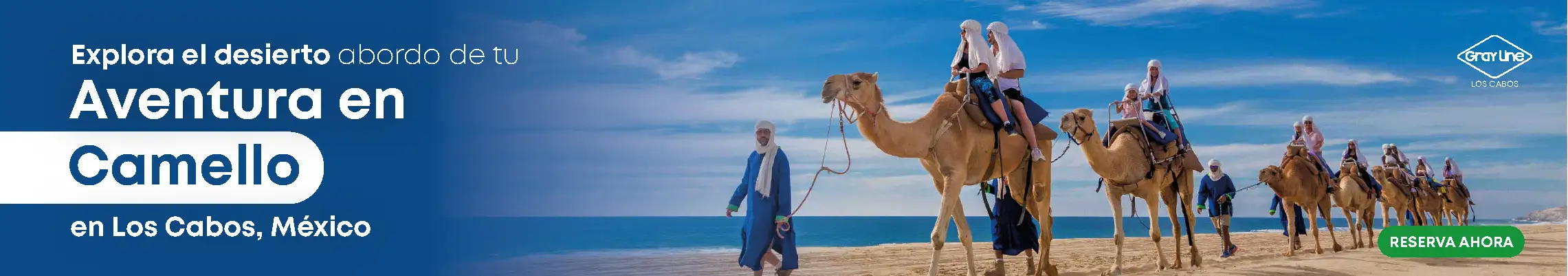 Cosas que hacer en Cabo San Lucas