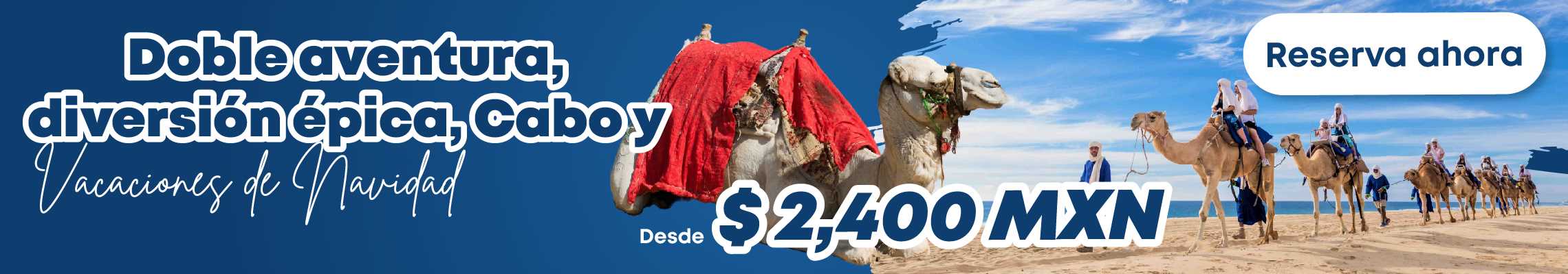 camel ride adventure