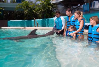 Entrada Básica Acuario Interactivo tour